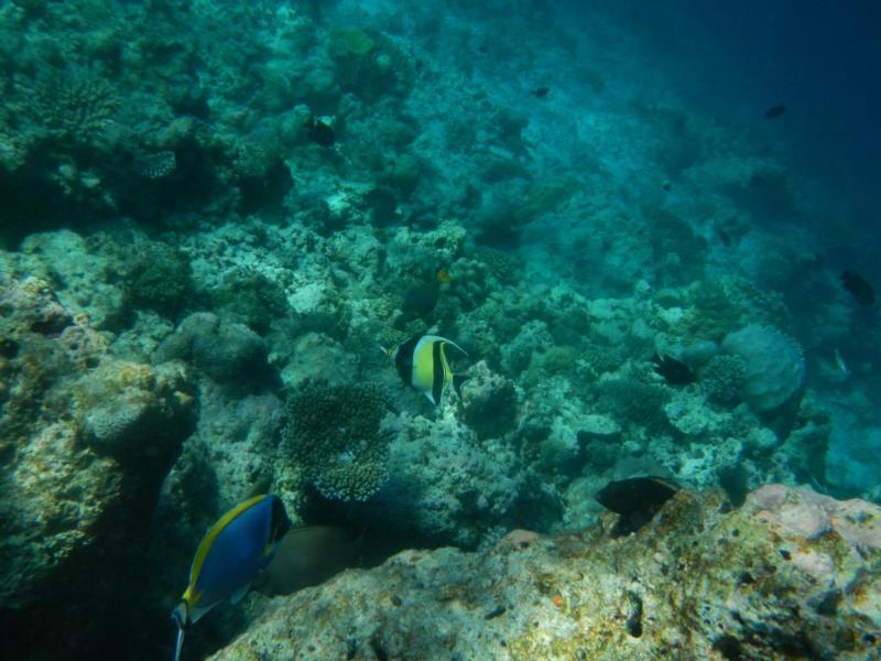 Arena Lodge Sky Maafushi Dış mekan fotoğraf